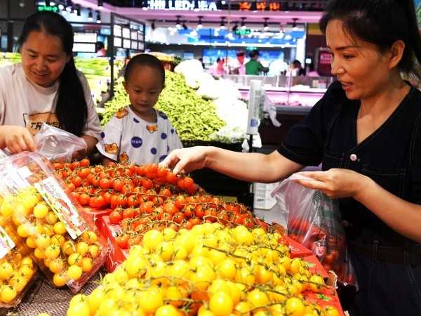 游戏全面亮相千亿球友会官网：巨蛋攻略指南大